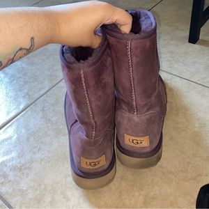 Purple uggs